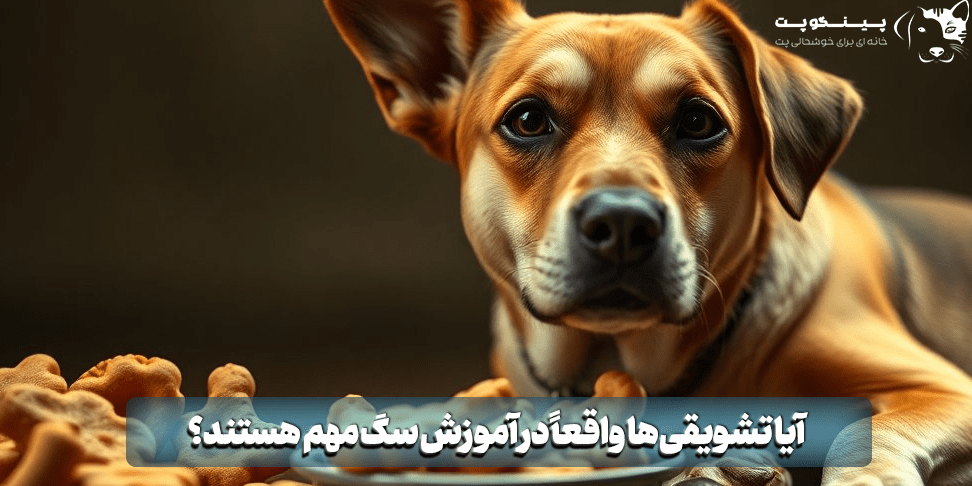 میزان اهمیت تشویقی سگ