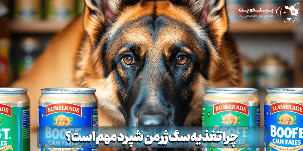 چرا تغذیه سگ ژرمن شپرد مهم است؟