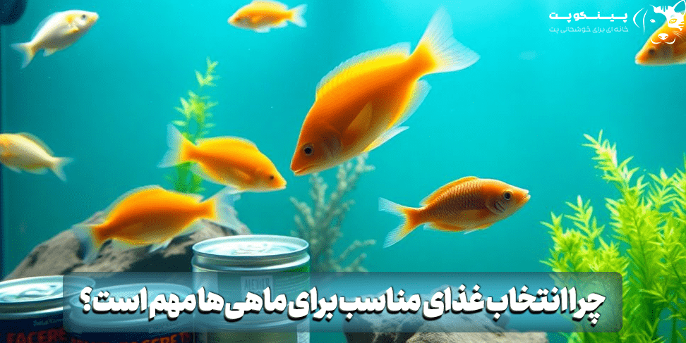 چرا انتخاب غذای مناسب برای ماهی‌ها مهم است؟
