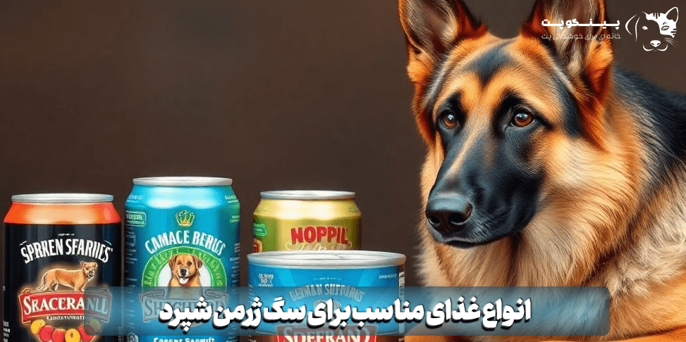 انواع غذای مناسب برای سگ ژرمن شپرد