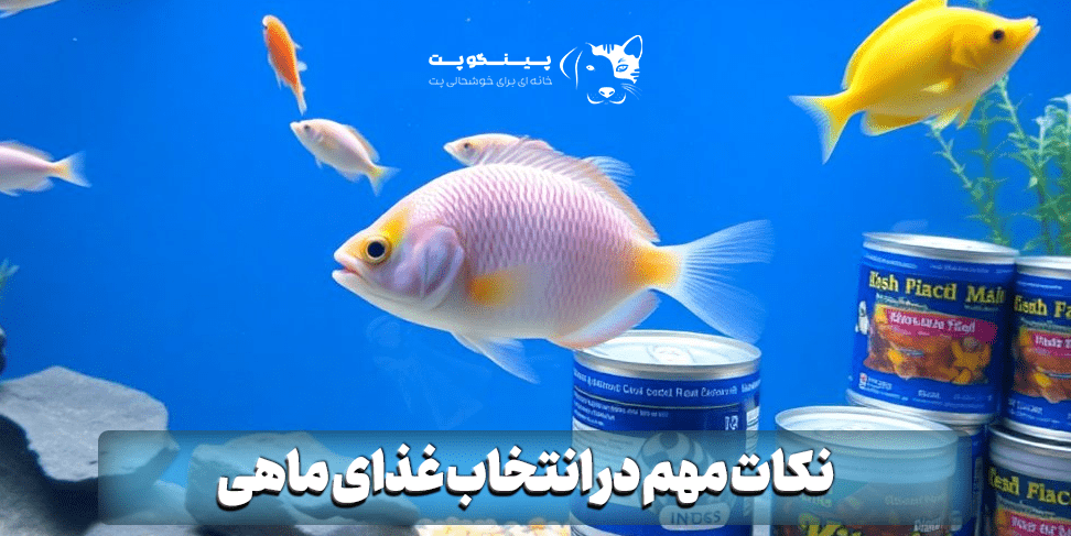 نکات مهم در انتخاب غذای ماهی
