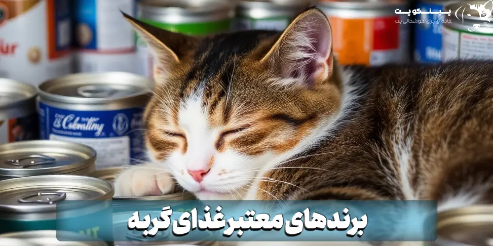 برندهای معتبر غذای گربه