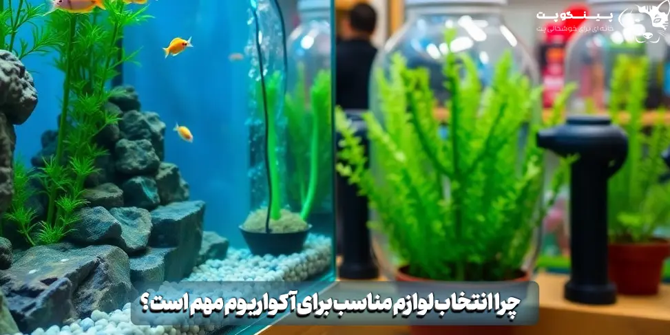 چرا انتخاب لوازم مناسب برای آکواریوم مهم است؟