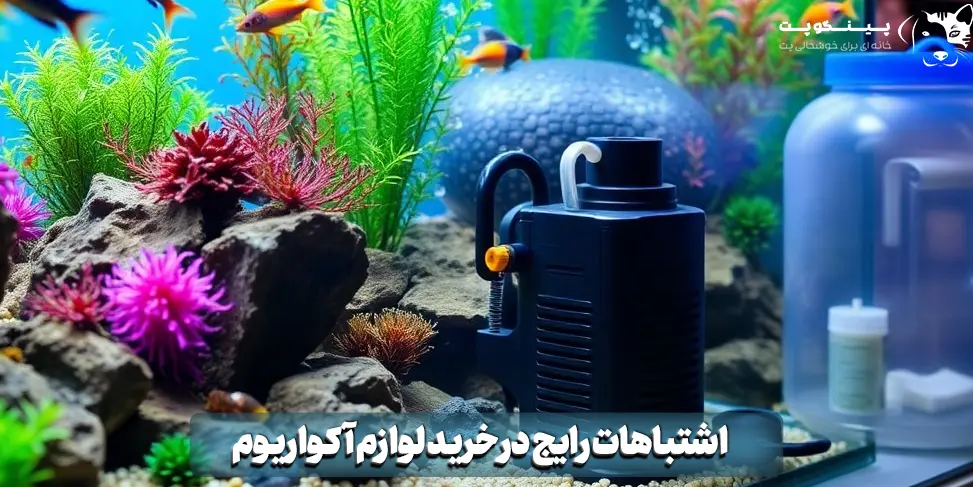 اشتباهات رایج در خرید لوازم آکواریوم