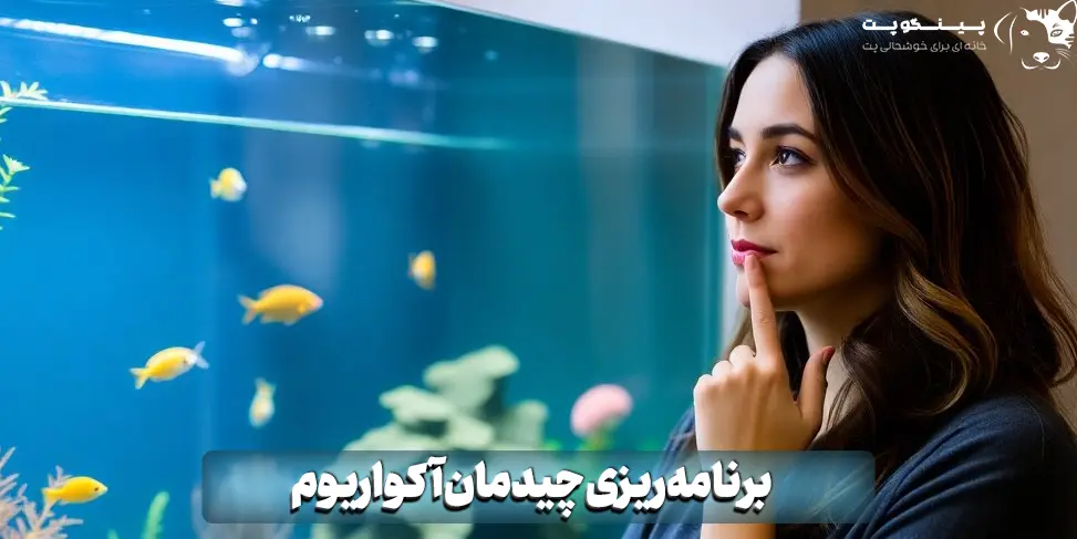 برنامه‌ریزی چیدمان آکواریوم