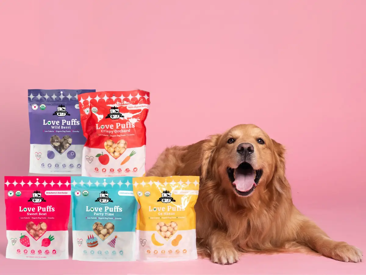 راهنمای بهترین تشویقی سگ