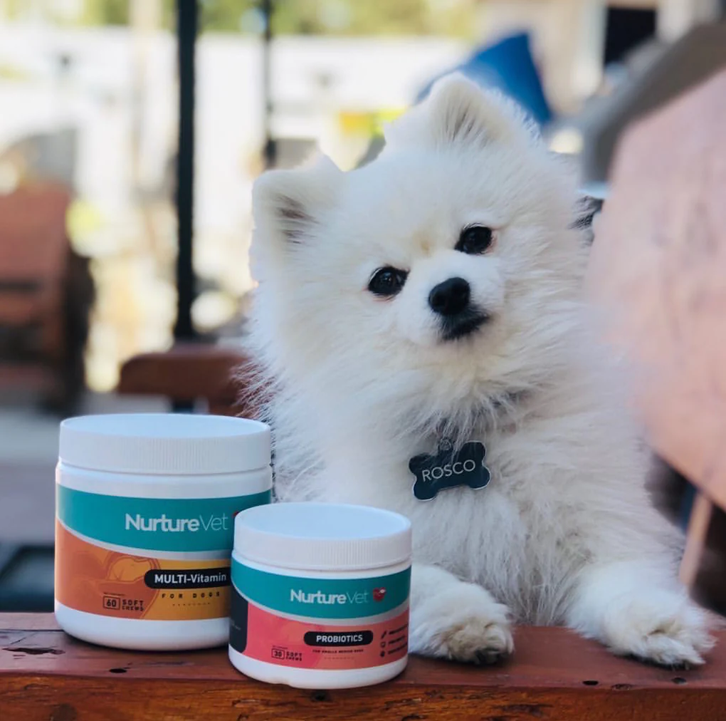 بهترین مکمل سگ